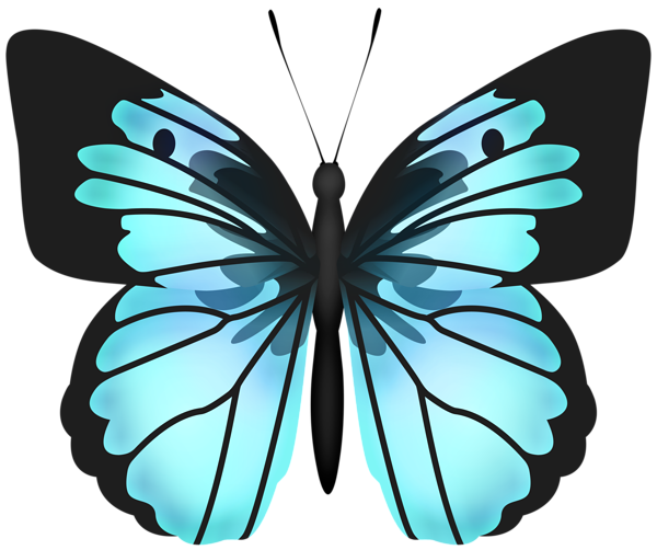 This png image - Blue Butterfly PNG Transparent Clipart, is available for free download