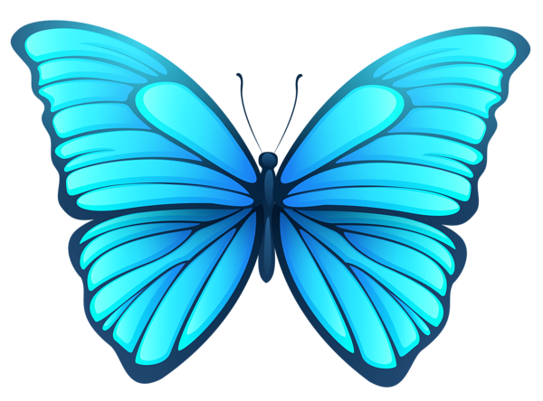 This png image - Butterfly PNG Image, is available for free download