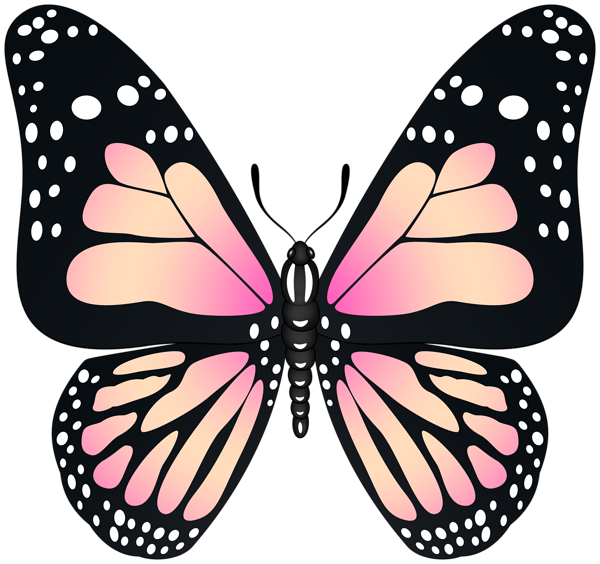 This png image - Butterfly Transparent PNG Image, is available for free download