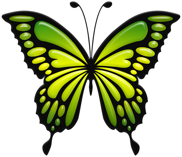 This png image - Green Butterfly PNG Clip Art Image, is available for free download