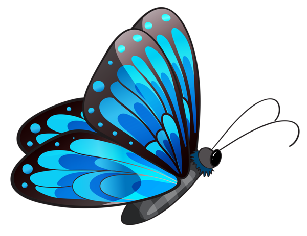 This png image - Transparent Blue Butterfly PNG Clipart, is available for free download