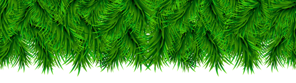 This png image - Pine Border Decoration PNG Clip Art, is available for free download