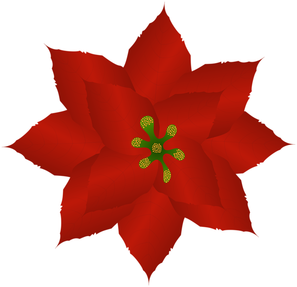 This png image - Poinsettia Clip Art Image, is available for free download