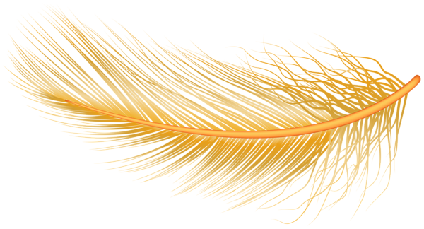 This png image - Bird Feather Transparent Image, is available for free download