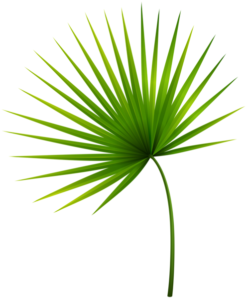 This png image - Exotic Leaf PNG Clipart, is available for free download