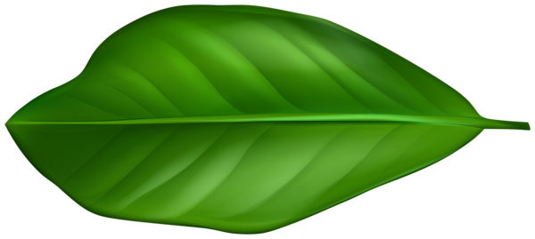 This png image - Green Leaf PNG Clipart, is available for free download