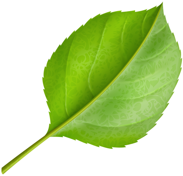 This png image - Green Leaf PNG Clipart, is available for free download