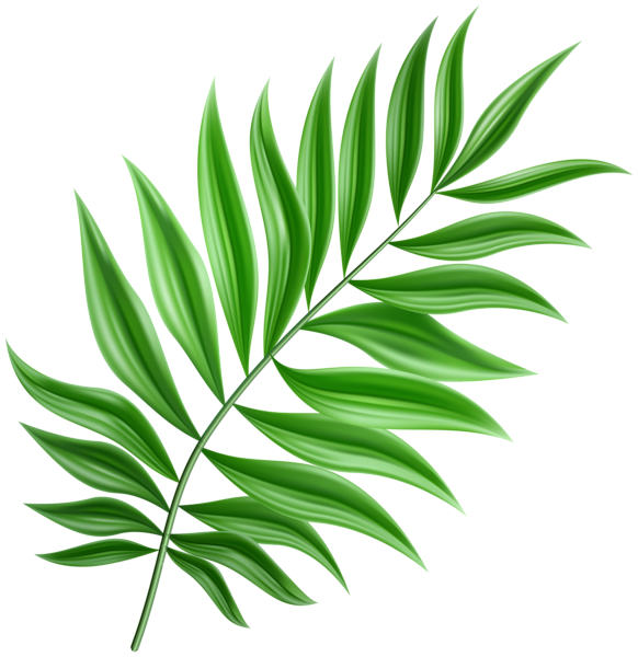 This png image - Green Palm Leaf PNG Clipart, is available for free download