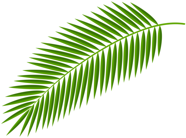 This png image - Palm Branch Transparent Clip Art Image, is available for free download