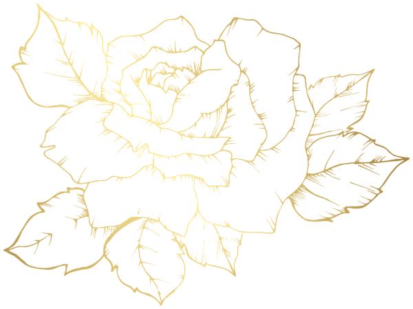 This png image - Rose Gold Outline Clipart Image, is available for free download