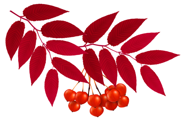 This png image - Autumn Red Leaves Decoration PNG Clipart Image, is available for free download