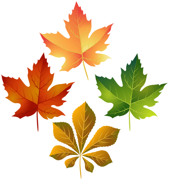 This png image - Colorful Autumn Leaves PNG Clip Art Image, is available for free download