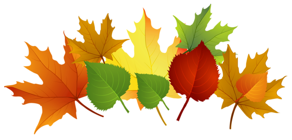 This png image - Fall Leaves PNG Clipart, is available for free download