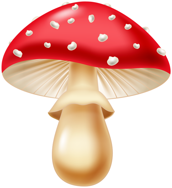 This png image - Red Mushroom Transparent PNG Clipart, is available for free download