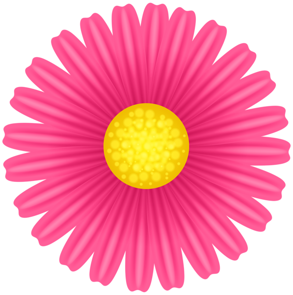 This png image - Daisy Pink Flower PNG Transparent Clipart, is available for free download