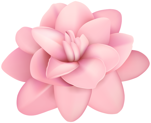 This png image - Flower Pink PNG Clip Art Image, is available for free download