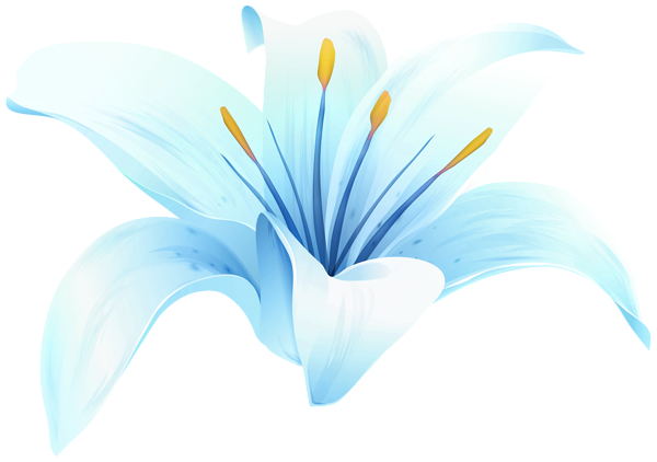 This png image - Lilium Flower Blue PNG Transparent Clipart, is available for free download