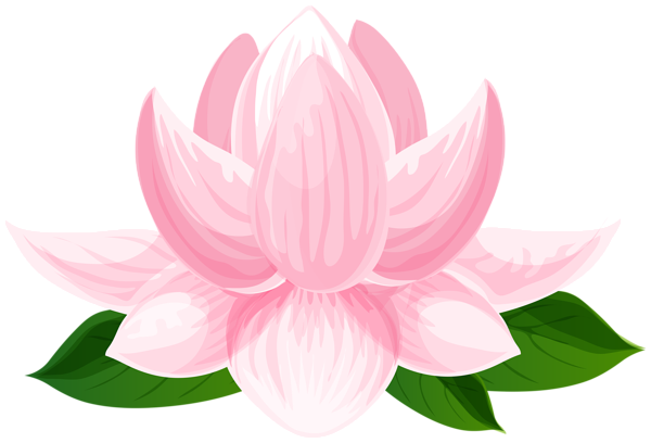 This png image - Lotus Flower Transparent Image, is available for free download