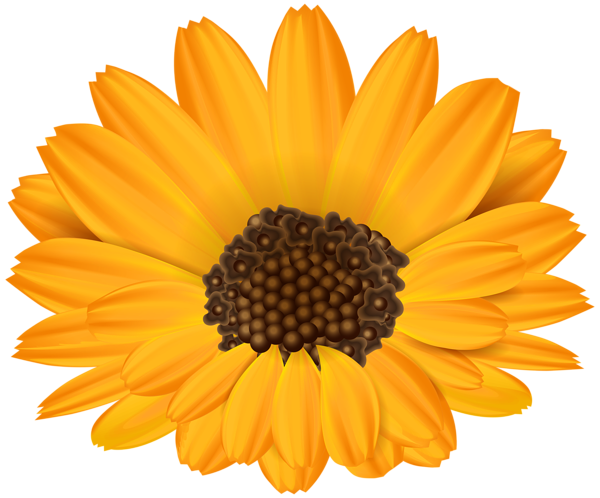 This png image - Orange Flower PNG Clip Art Image, is available for free download