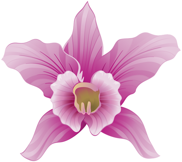 This png image - Orchid PNG Clipart Image, is available for free download