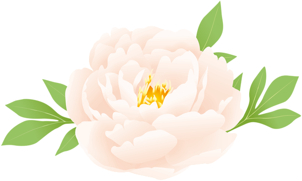 This png image - Peony PNG Clipart, is available for free download