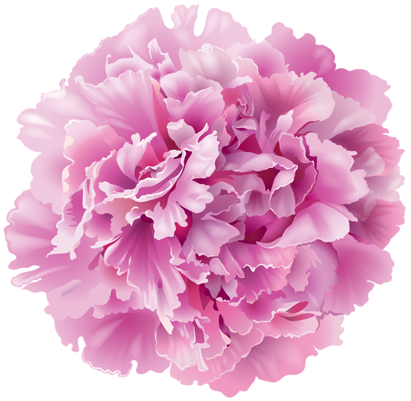 This png image - Peony Transparent PNG Clip Art Image, is available for free download