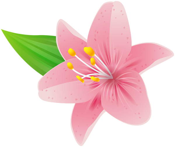 This png image - Pink Flower PNG Clipart, is available for free download