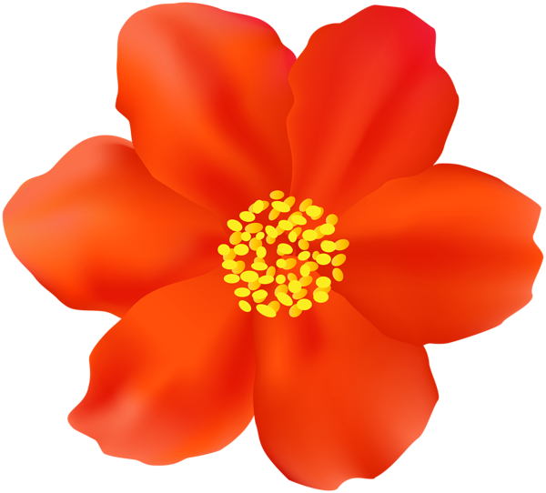 This png image - Red Flower PNG Clipart Image, is available for free download