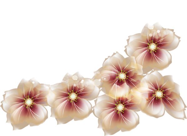 This png image - Transparent Flowers Clipart, is available for free download