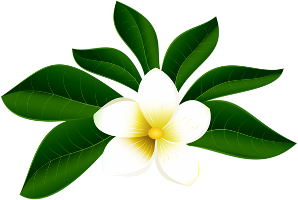This png image - Tropical Exotic Flower PNG Clip Art Image, is available for free download