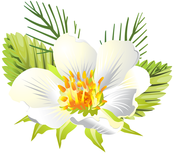 This png image - White Flower PNG Clip Art Image, is available for free download