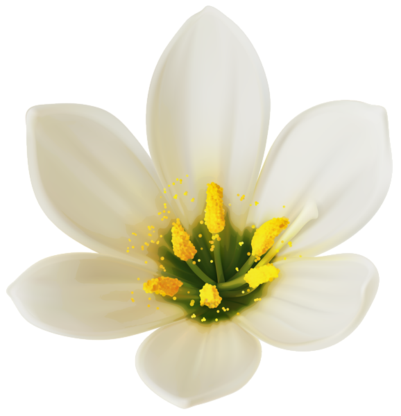 This png image - White Flower PNG Clipart Image, is available for free download