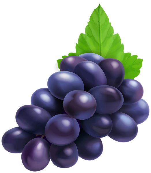 This png image - Black Grapes PNG Clipart, is available for free download