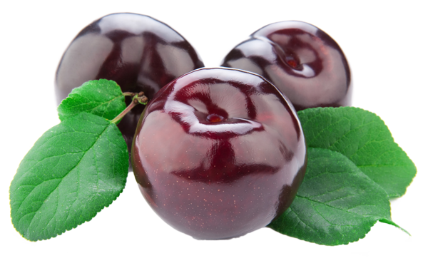 This png image - Cherries PNG Clipart Picture, is available for free download