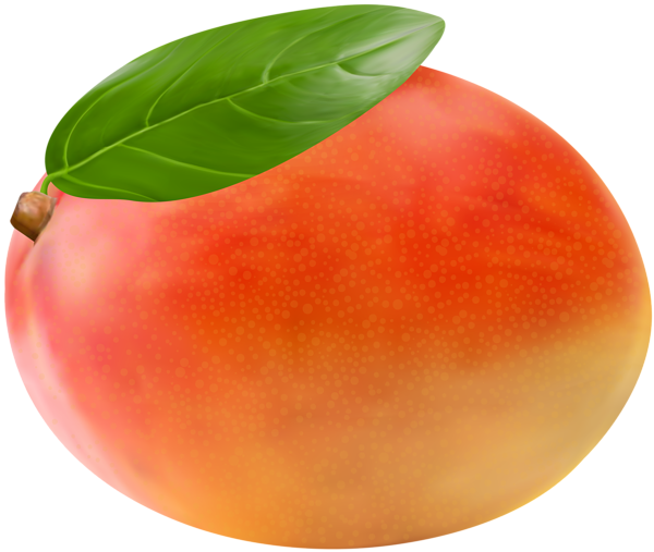 This png image - Mango Fruit PNG Clip Art Image, is available for free download