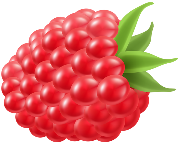 This png image - Raspberry PNG Clip Art Image, is available for free download