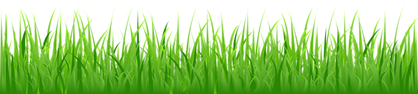 This png image - Grass PNG Clip Art Image, is available for free download