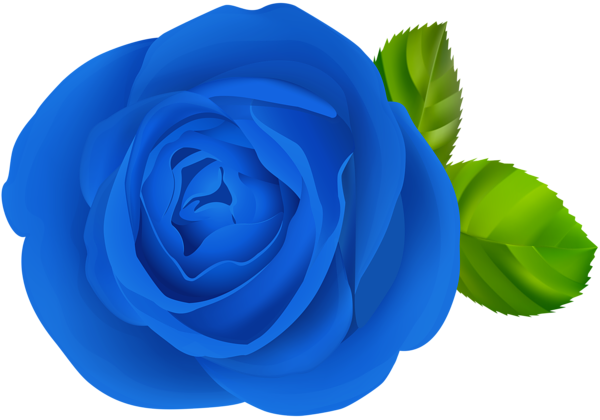 This png image - Blue Rose Flower PNG Clipart, is available for free download