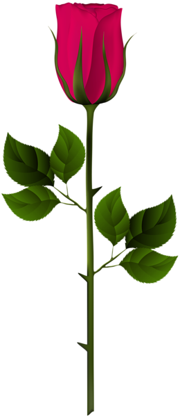 This png image - Pink Rose Bud PNG Clip Art Image, is available for free download