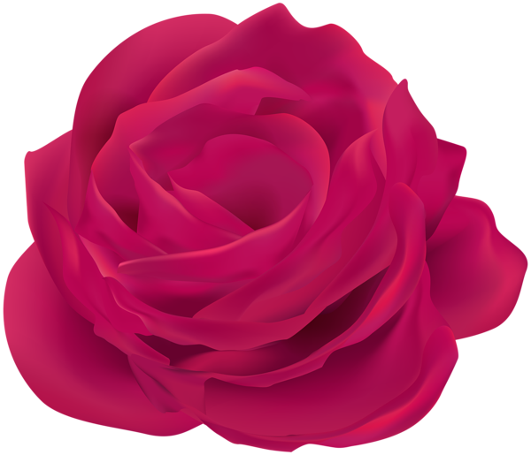 This png image - Pink Rose Flower Clip Art Image, is available for free download