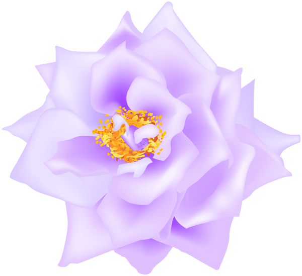 This png image - Purple Rose Transparent Clip Art, is available for free download