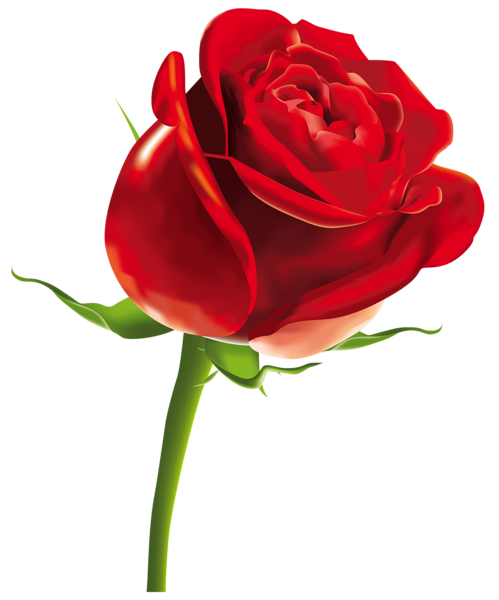 This png image - Red Rose PNG Clipart Picture, is available for free download