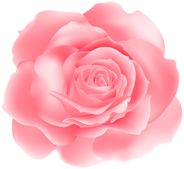 This png image - Soft Pink Rose PNG Clipart, is available for free download