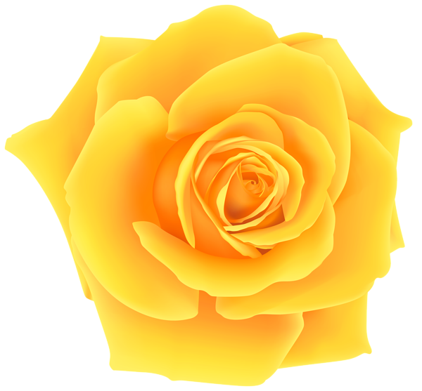 This png image - Yellow Rose PNG Clip Art Image, is available for free download