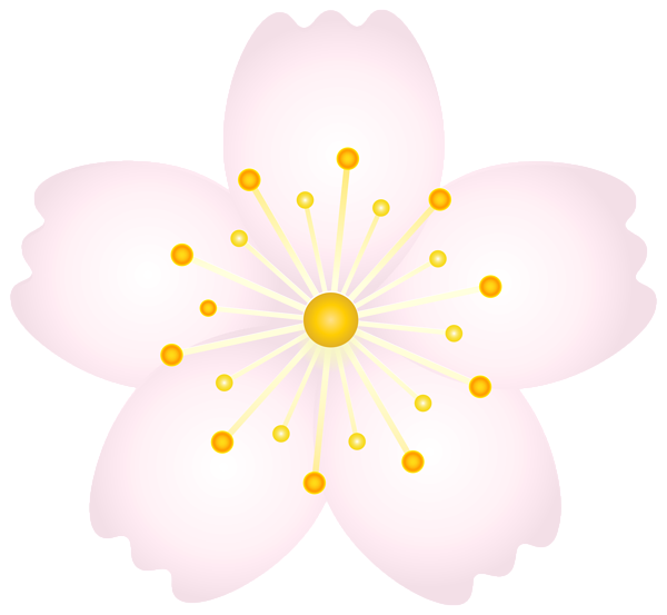This png image - Blooming Tree Flower PNG Pink Transparent Clipart, is available for free download