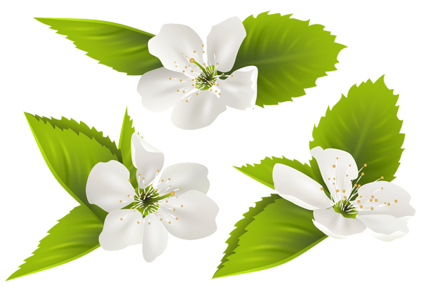 This png image - Spring Tree Flowers PNG Clip Art Image, is available for free download