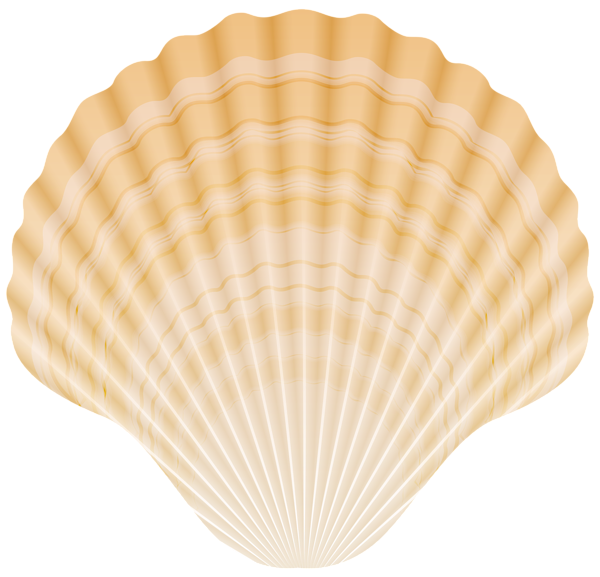 This png image - Clam Shell PNG Clipart, is available for free download