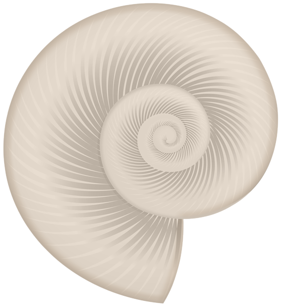 This png image - Seashell PNG Transparent Clipart, is available for free download