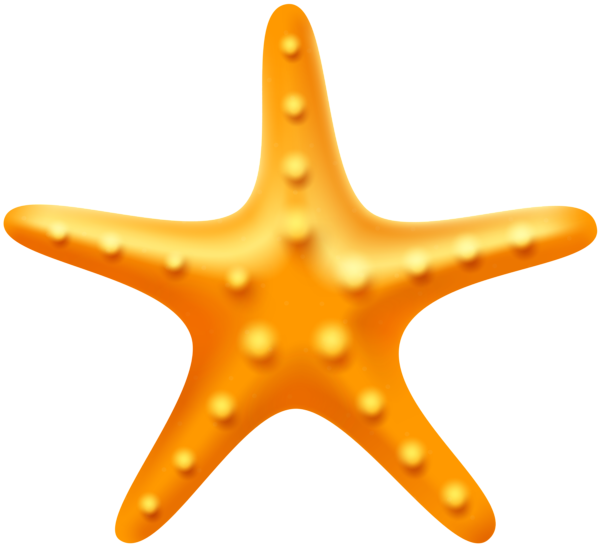 This png image - Starfish PNG Clipart, is available for free download