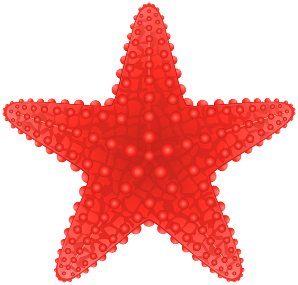 This png image - Starfish Transparent PNG Clip Art Image, is available for free download